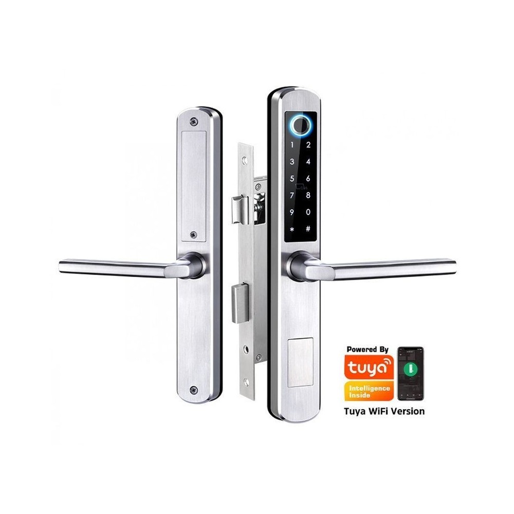 Intelligentes Türschloss DIGI A210 TTLock (Silber) mit 6085-Schloss WiFi, Bluetooth, für verschiedene Arten von Türen