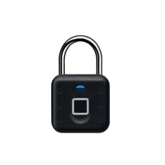 DI-D11 Smart Lock mit Fingerabdruck
