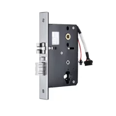 Smart door lock E300P TTLock, for various types of doors, Gold