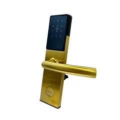 Cerradura de puerta inteligente E300P TTLock