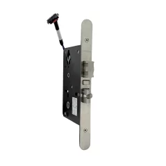 Cerradura de puerta inteligente E300P TTLock, para varios tipos de puertas, Oro