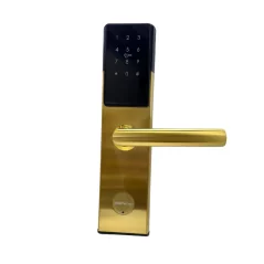 Išmanioji durų spyna E300P TTLock su mechanine spyna, įvairaus tipo durims, auksinė
