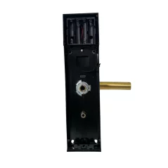 Cerradura de puerta inteligente E300P TTLock, para varios tipos de puertas, Oro