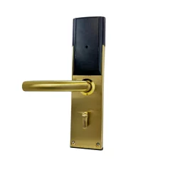 Cerradura de puerta inteligente E300P TTLock, para varios tipos de puertas, Oro