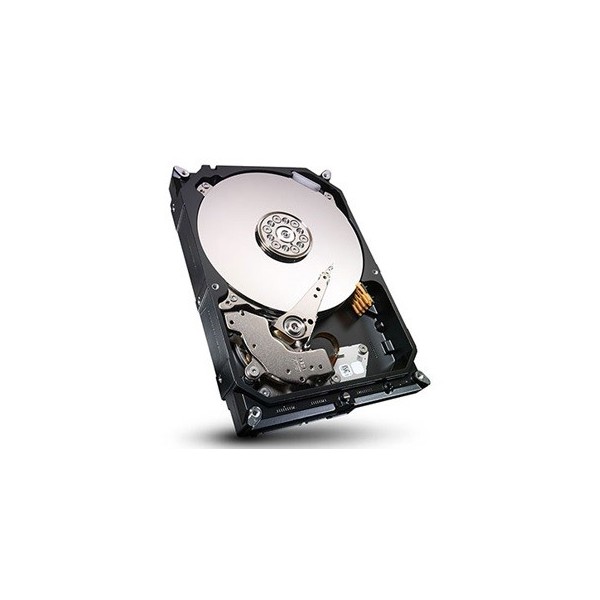Cietais disks 4000GB SATA2 3,5"