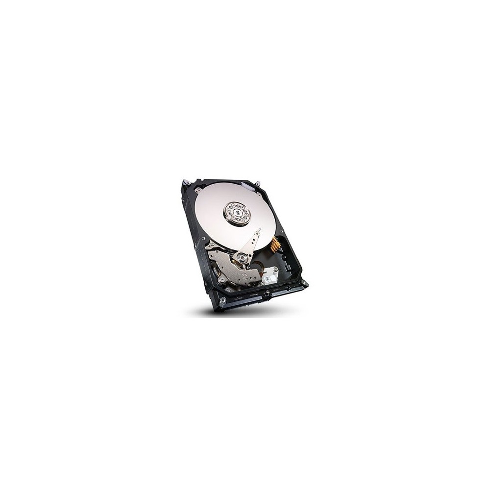 Kietas Diskas HDD 4000GB SATA2 3.5″